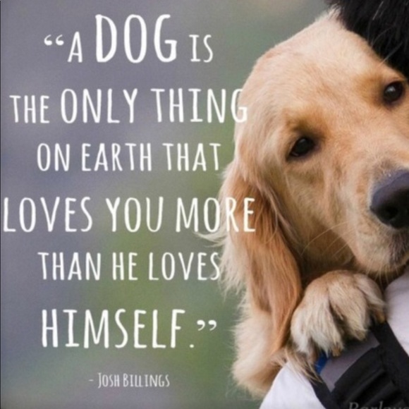 Meet your Posher, Lisa - Picture 8 of 8